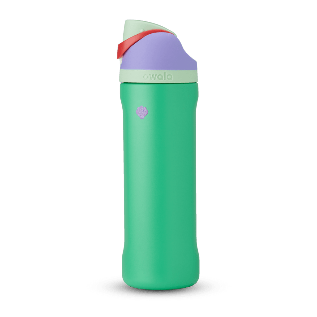 Disney Princess Collection Water Bottle SPDTS3XY