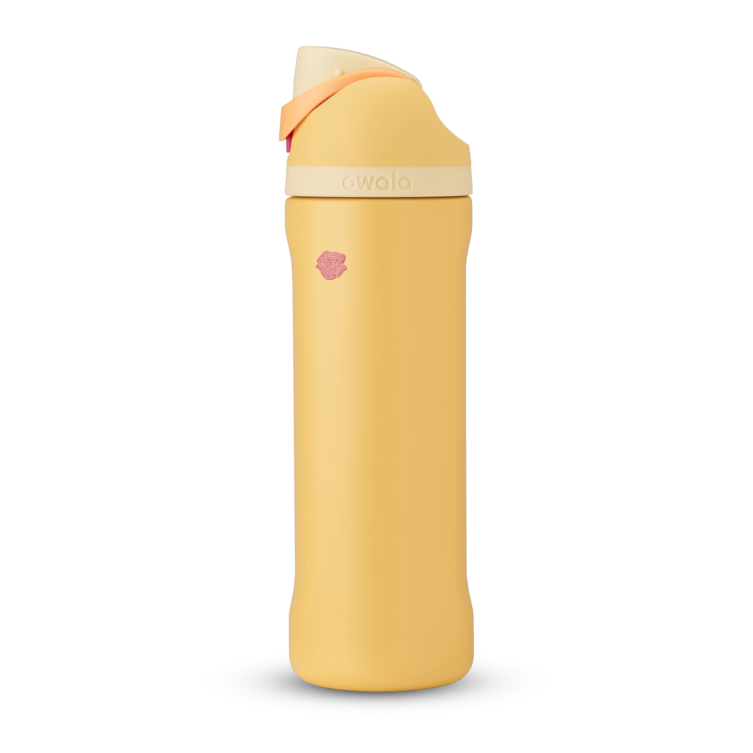 Disney Princess Collection Water Bottle SPDTS3XY