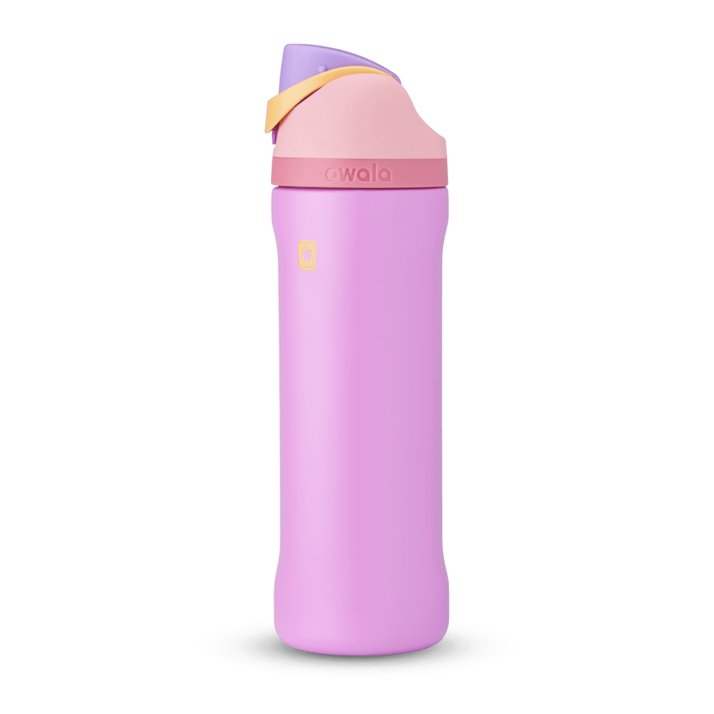 Disney Princess Collection Water Bottle SPDTS3XY
