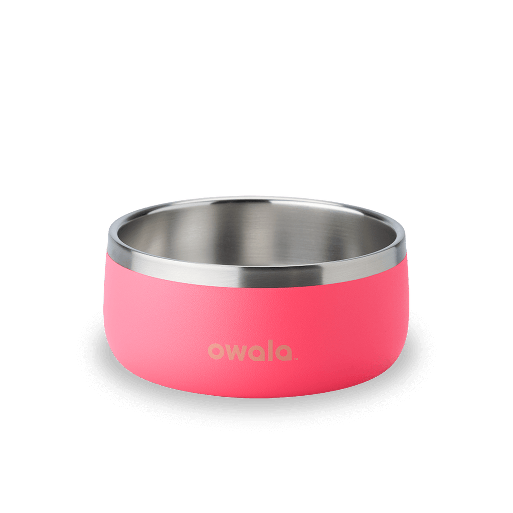 Pet Bowl Water Bottle 8ZGNTG5HOY