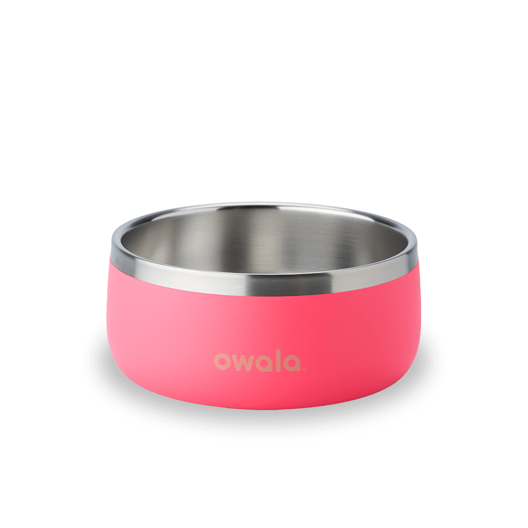 Pet Bowl Water Bottle 8ZGNTG5HOY