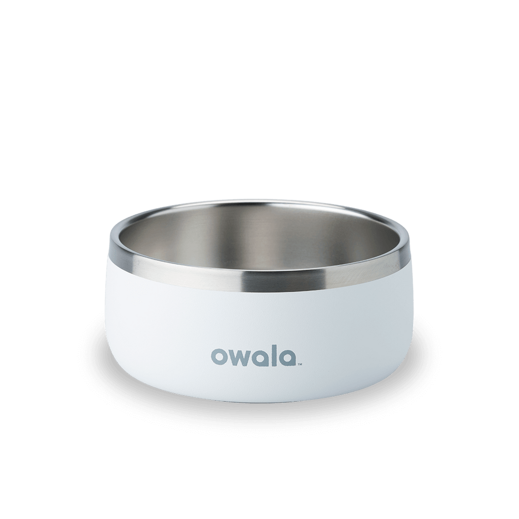 Pet Bowl Water Bottle 8ZGNTG5HOY