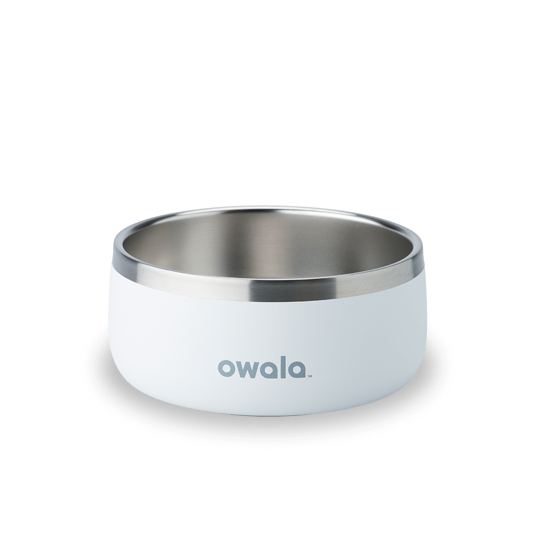 Pet Bowl Water Bottle 8ZGNTG5HOY