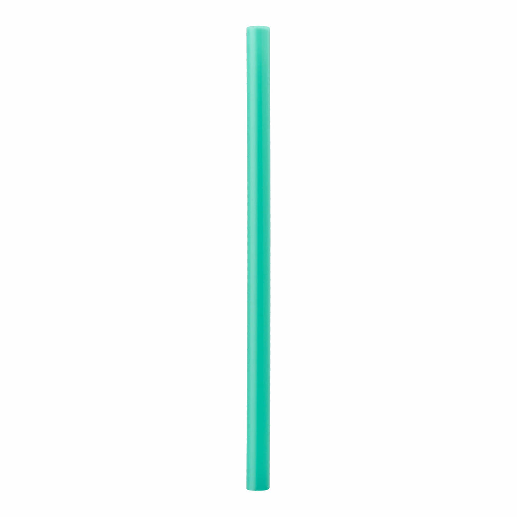 Replacement Straws Water Bottle IWXSDANQT