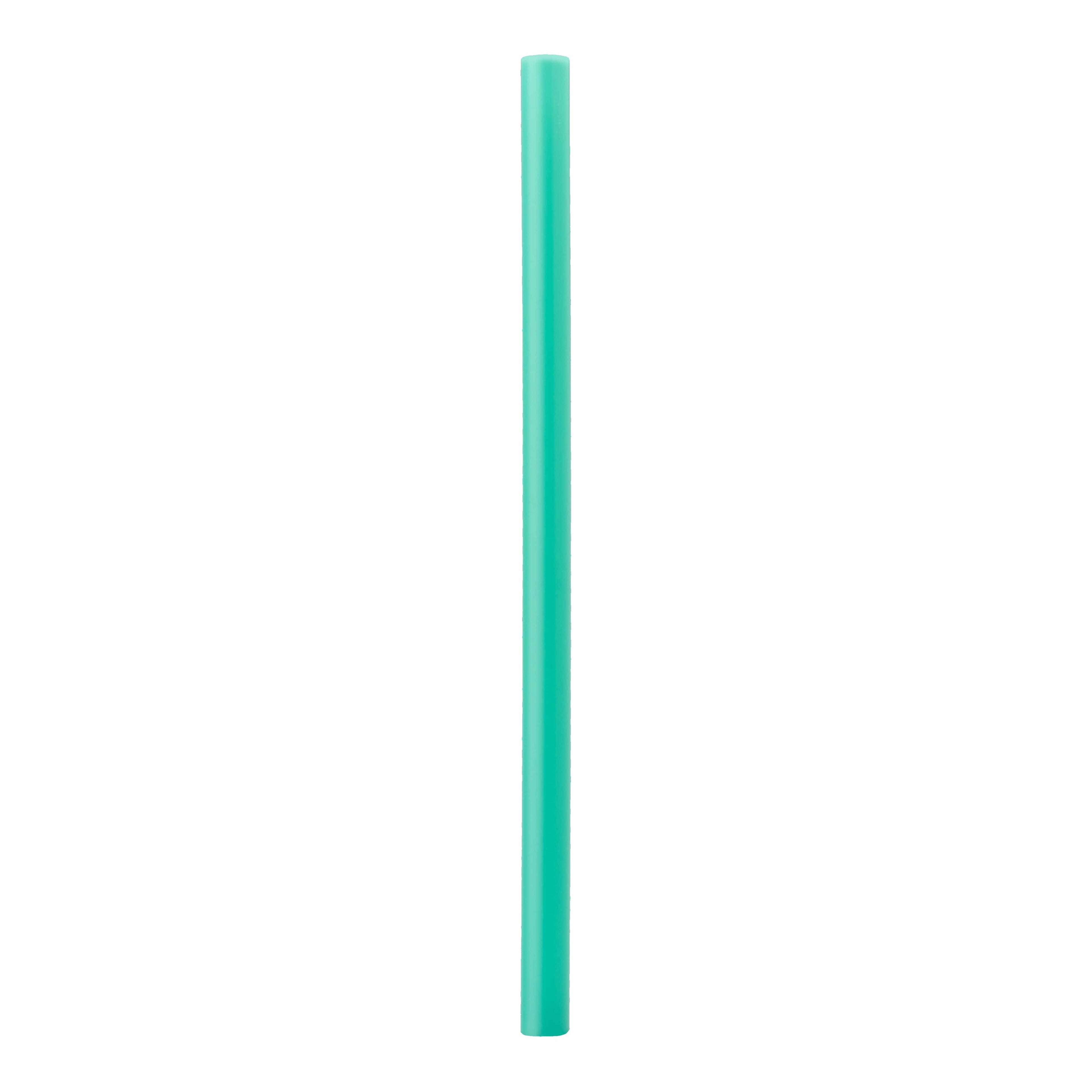 Replacement Straws Water Bottle IWXSDANQT